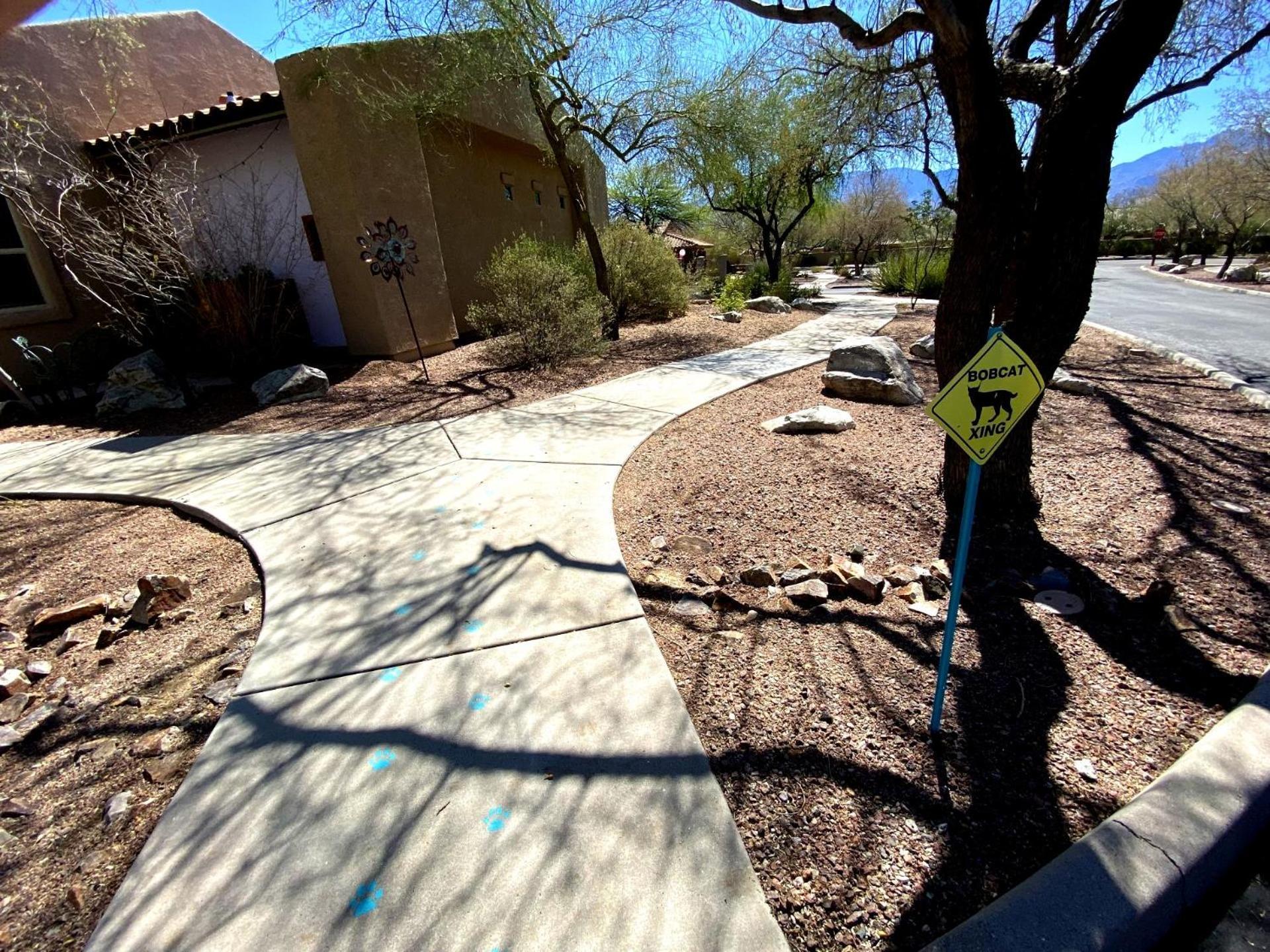 Worldmark Rancho Vistoso Oro Valley Bagian luar foto